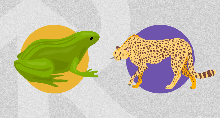 At Home Animal Workout